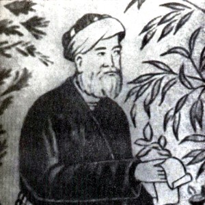 Абдурахман Джами - Изображение
