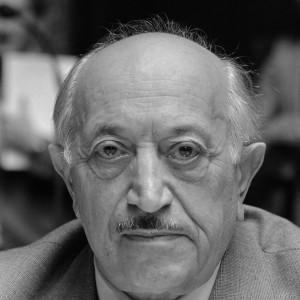 Симон Визентал - Изображение