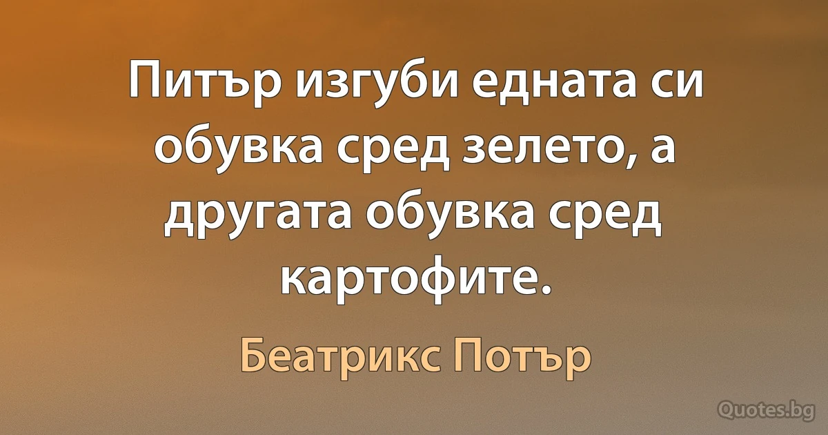 Питър изгуби едната си обувка сред зелето, а другата обувка сред картофите. (Беатрикс Потър)