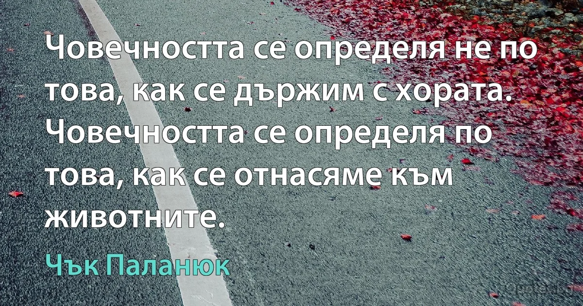 Човечността се определя не по това, как се държим с хората. Човечността се определя по това, как се отнасяме към животните. (Чък Паланюк)