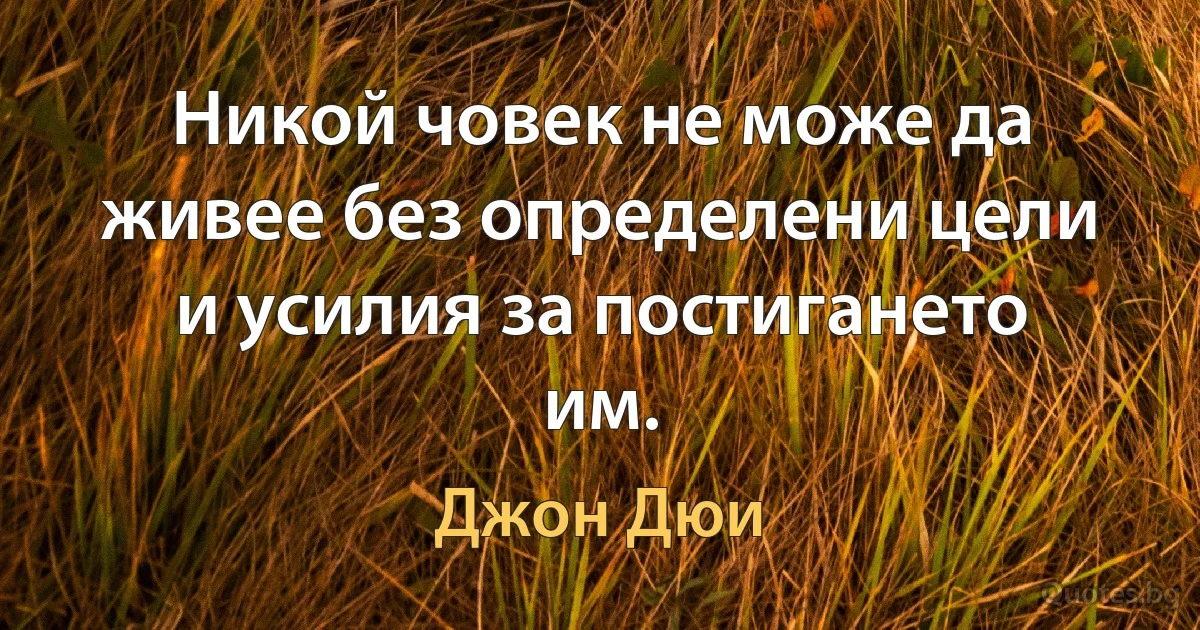 Никой човек не може да живее без определени цели и усилия за постигането им. (Джон Дюи)