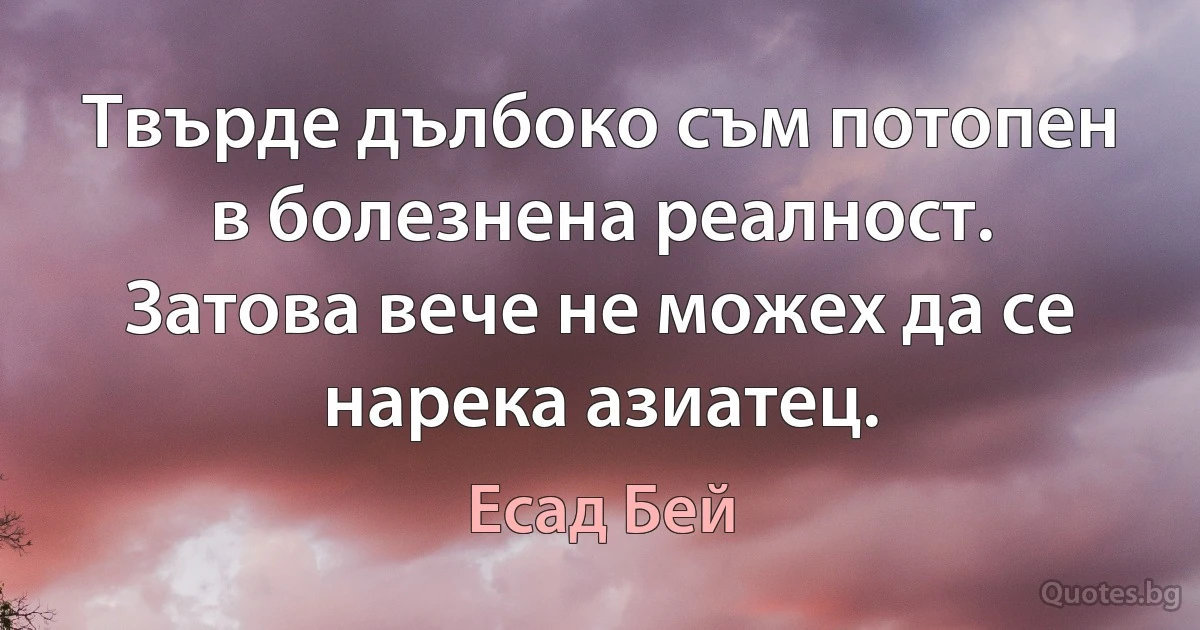 Твърде дълбоко съм потопен в болезнена реалност. Затова вече не можех да се нарека азиатец. (Есад Бей)