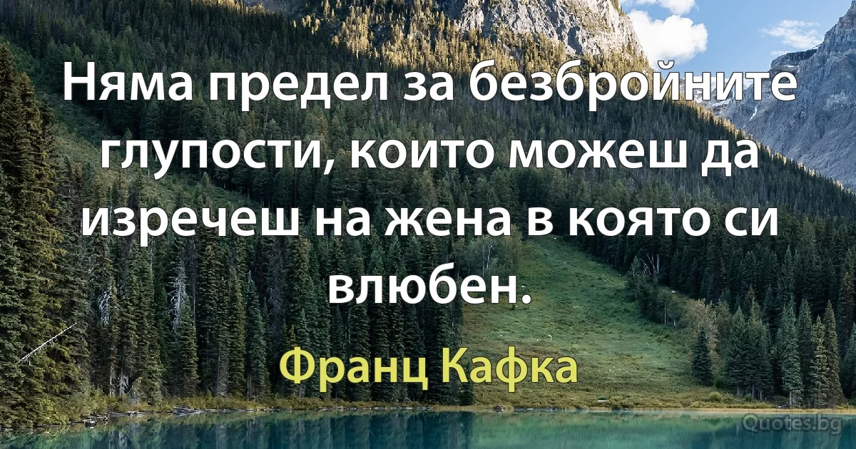 Няма предел за безбройните глупости, които можеш да изречеш на жена в която си влюбен. (Франц Кафка)