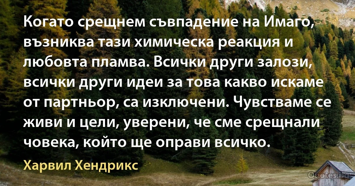 Когато срещнем съвпадение на Имаго, възниква тази химическа реакция и любовта пламва. Всички други залози, всички други идеи за това какво искаме от партньор, са изключени. Чувстваме се живи и цели, уверени, че сме срещнали човека, който ще оправи всичко. (Харвил Хендрикс)