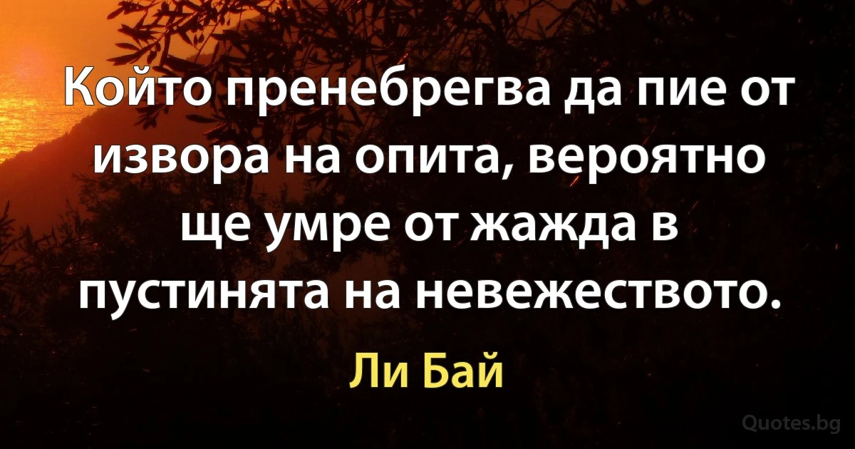 Който пренебрегва да пие от извора на опита, вероятно ще умре от жажда в пустинята на невежеството. (Ли Бай)