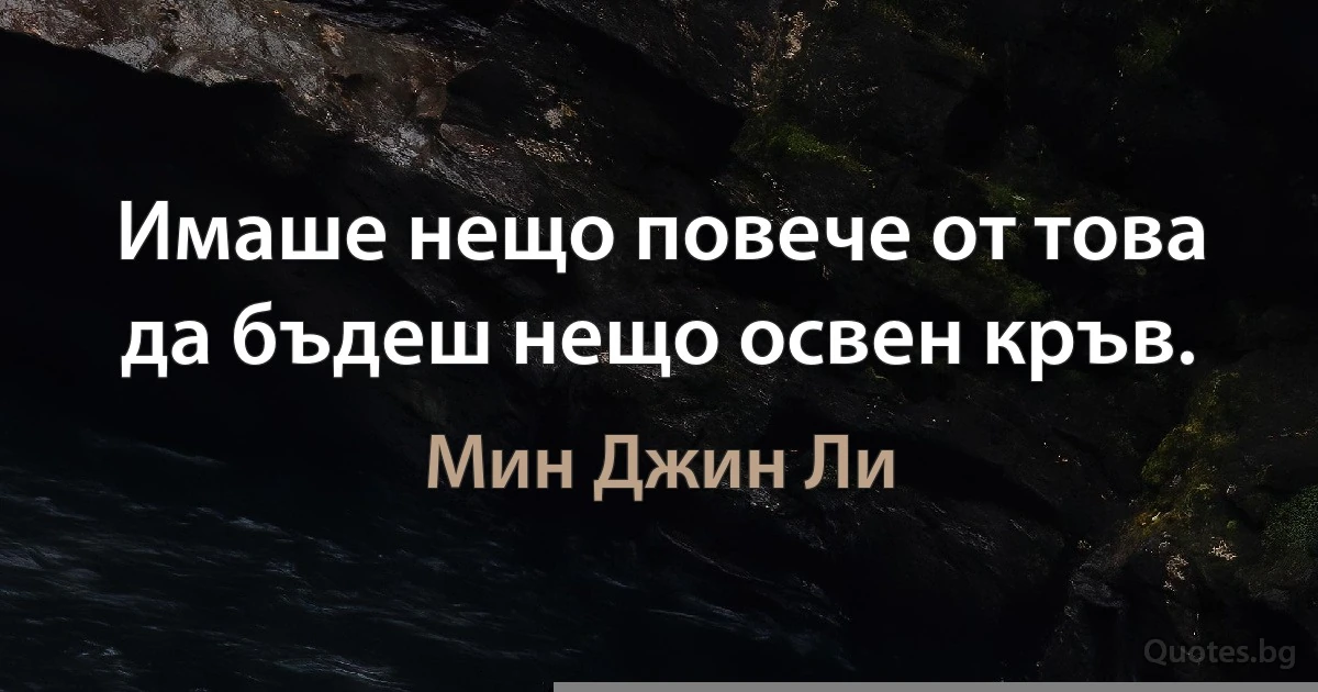 Имаше нещо повече от това да бъдеш нещо освен кръв. (Мин Джин Ли)