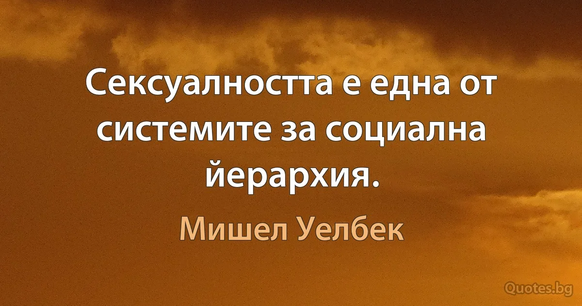 Сексуалността е една от системите за социална йерархия. (Мишел Уелбек)