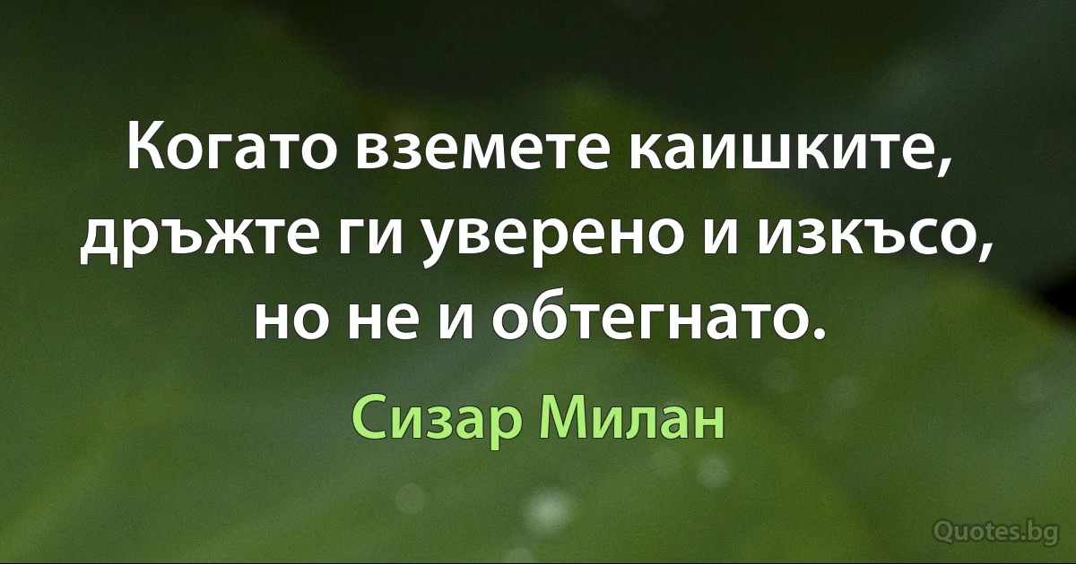 Когато вземете каишките, дръжте ги уверено и изкъсо, но не и обтегнато. (Сизар Милан)