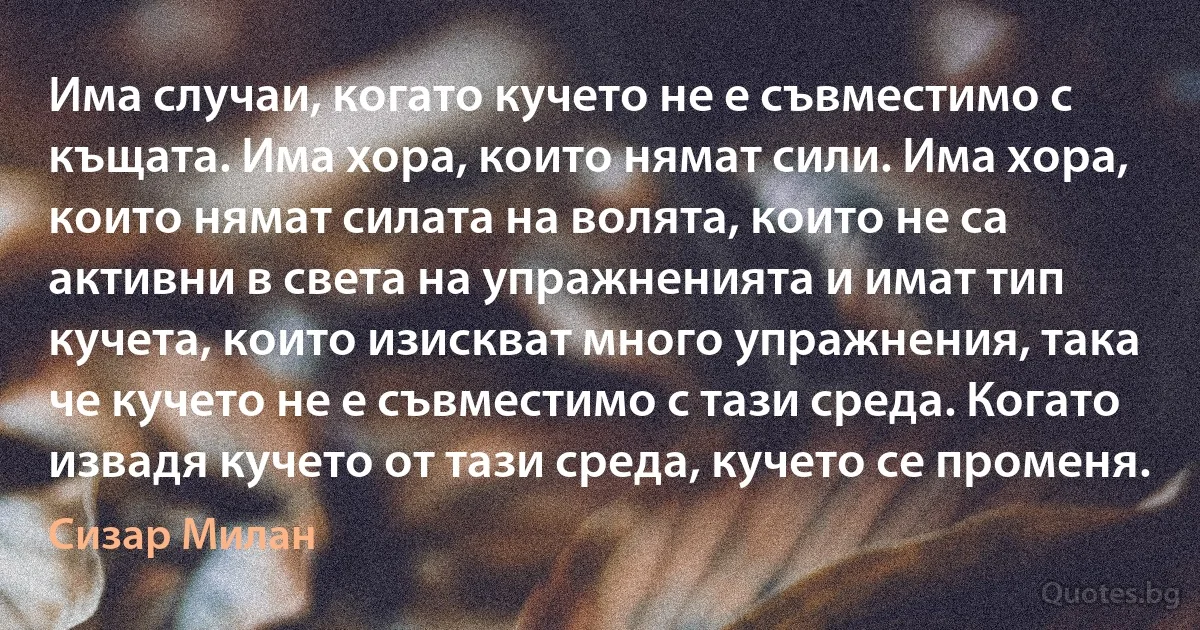 Има случаи, когато кучето не е съвместимо с къщата. Има хора, които нямат сили. Има хора, които нямат силата на волята, които не са активни в света на упражненията и имат тип кучета, които изискват много упражнения, така че кучето не е съвместимо с тази среда. Когато извадя кучето от тази среда, кучето се променя. (Сизар Милан)