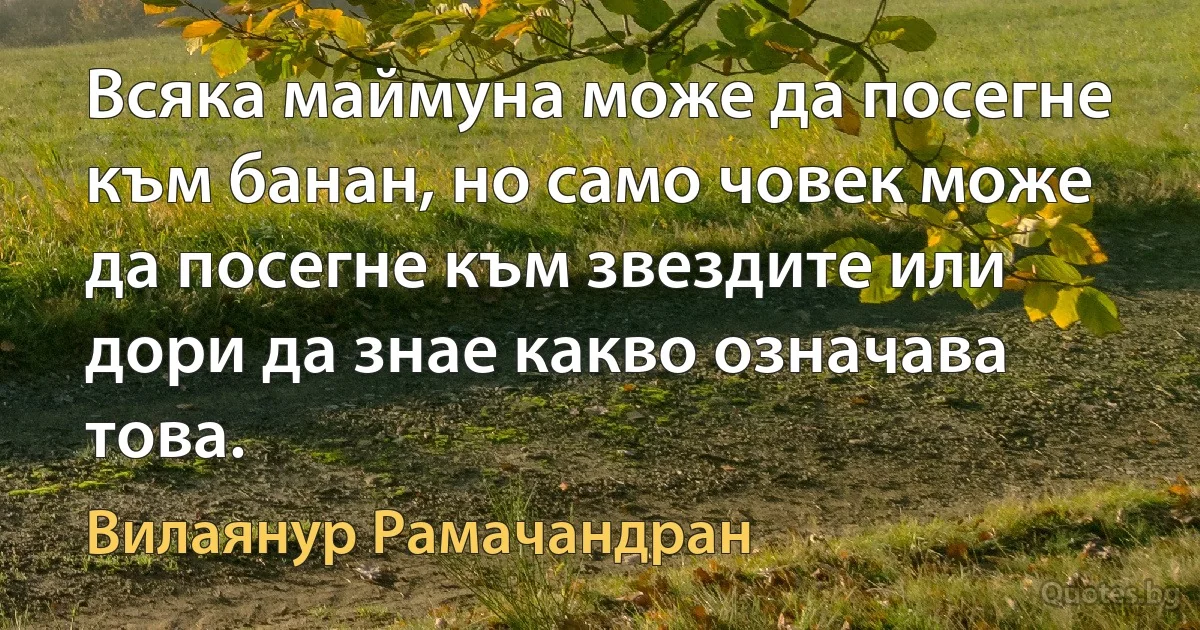 Всяка маймуна може да посегне към банан, но само човек може да посегне към звездите или дори да знае какво означава това. (Вилаянур Рамачандран)