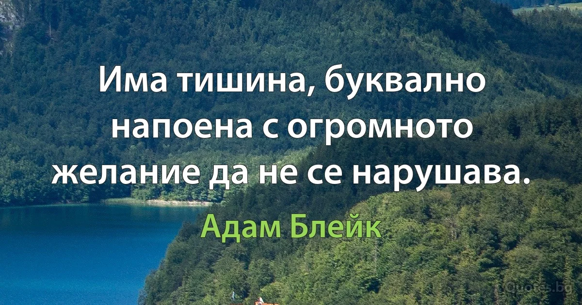 Има тишина, буквално напоена с огромното желание да не се нарушава. (Адам Блейк)