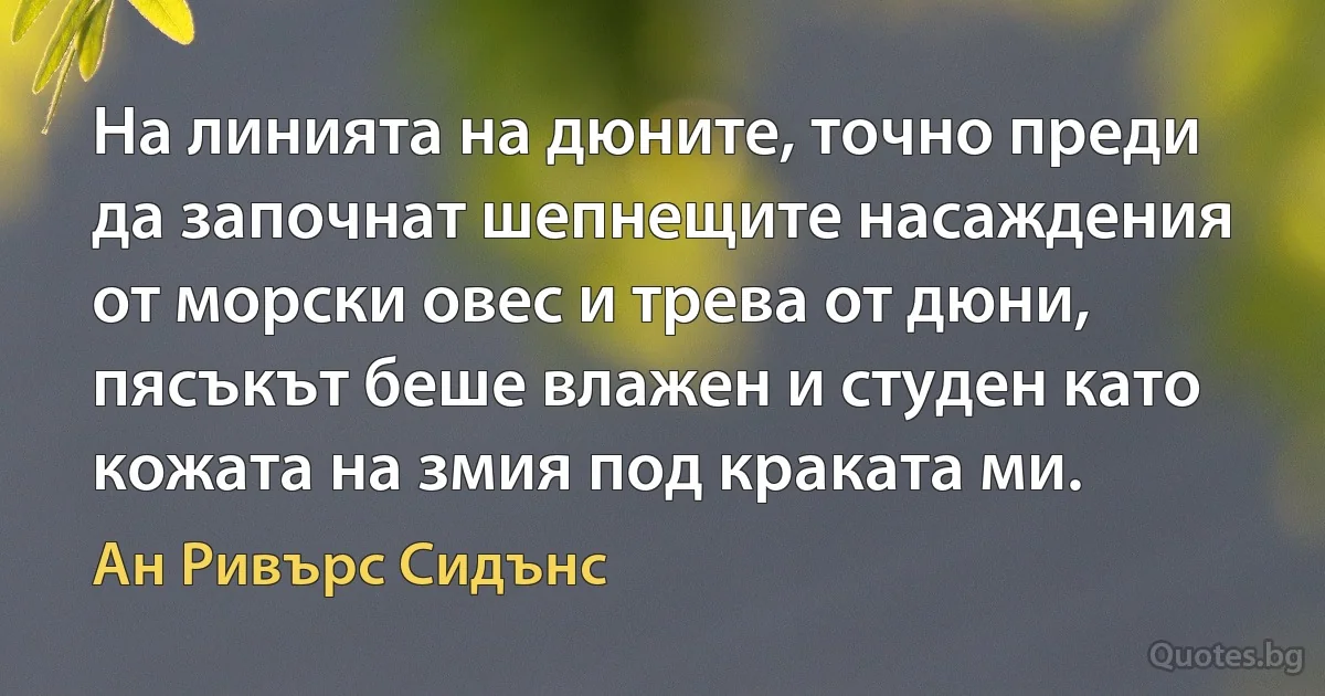 На линията на дюните, точно преди да започнат шепнещите насаждения от морски овес и трева от дюни, пясъкът беше влажен и студен като кожата на змия под краката ми. (Ан Ривърс Сидънс)