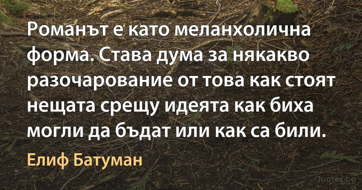 Романът е като меланхолична форма. Става дума за някакво разочарование от това как стоят нещата срещу идеята как биха могли да бъдат или как са били. (Елиф Батуман)