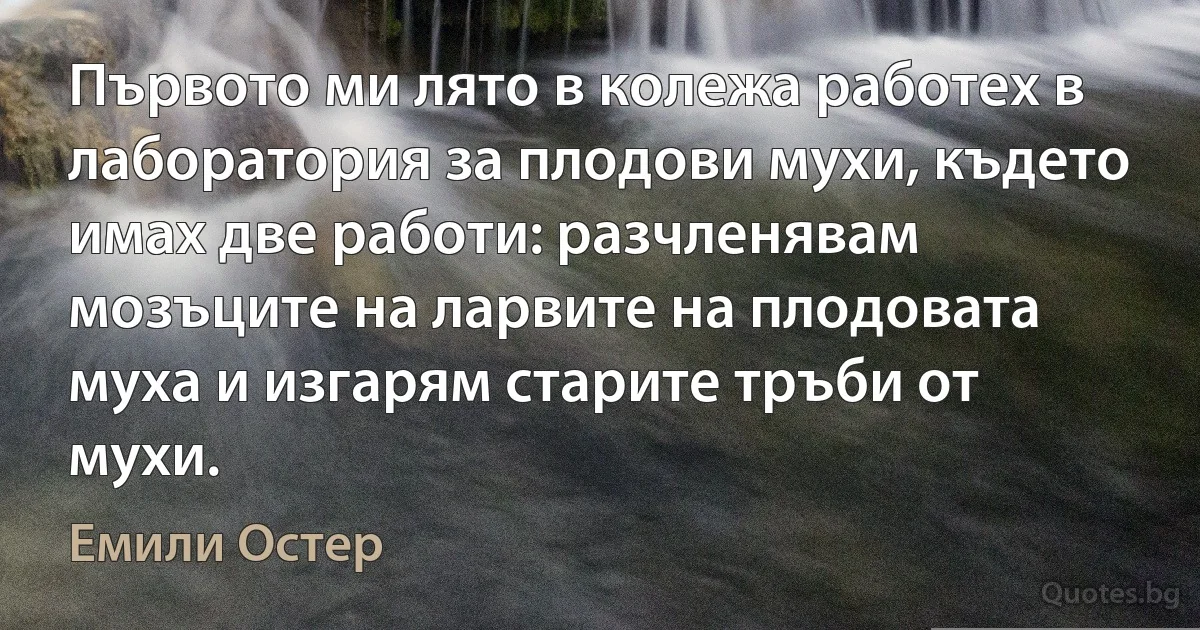 Първото ми лято в колежа работех в лаборатория за плодови мухи, където имах две работи: разчленявам мозъците на ларвите на плодовата муха и изгарям старите тръби от мухи. (Емили Остер)