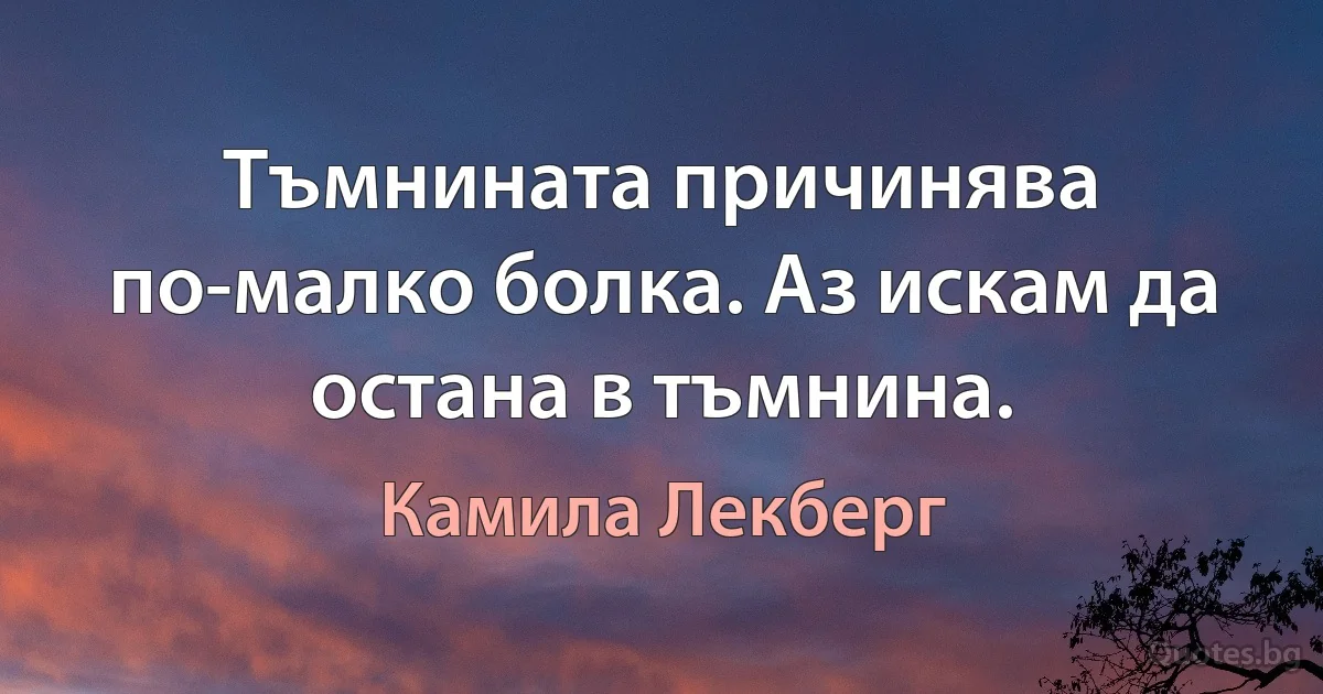 Тъмнината причинява по-малко болка. Аз искам да остана в тъмнина. (Камила Лекберг)