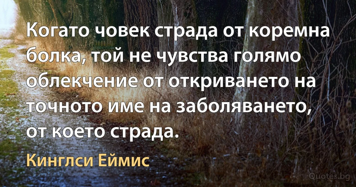 Когато човек страда от коремна болка, той не чувства голямо облекчение от откриването на точното име на заболяването, от което страда. (Кинглси Еймис)