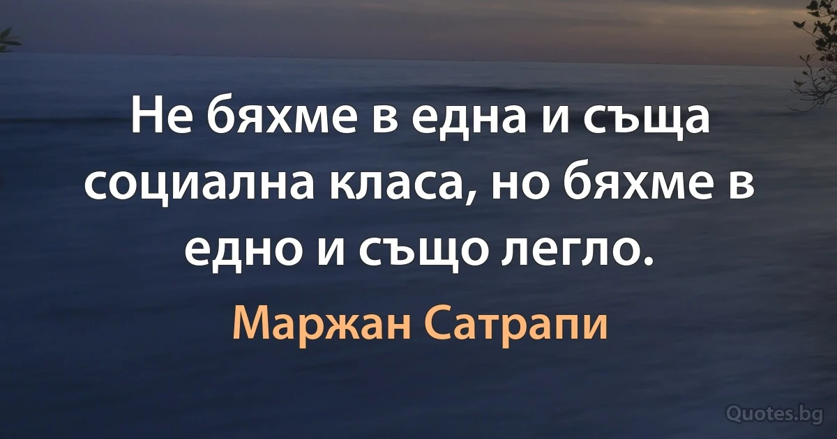 Не бяхме в една и съща социална класа, но бяхме в едно и също легло. (Маржан Сатрапи)