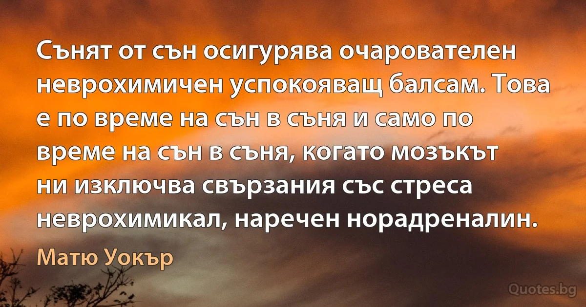 Сънят от сън осигурява очарователен неврохимичен успокояващ балсам. Това е по време на сън в съня и само по време на сън в съня, когато мозъкът ни изключва свързания със стреса неврохимикал, наречен норадреналин. (Матю Уокър)