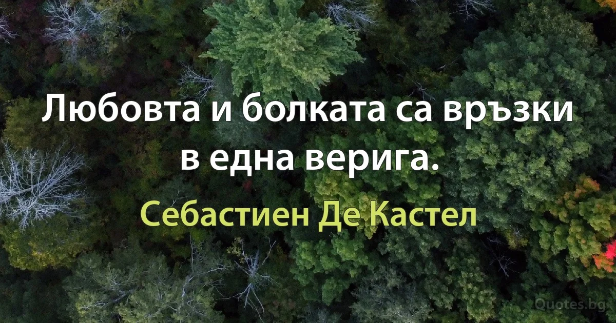 Любовта и болката са връзки в една верига. (Себастиен Де Кастел)