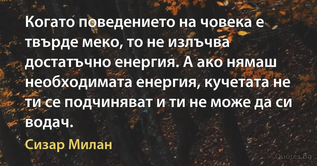 Когато поведението на човека е твърде меко, то не излъчва достатъчно енергия. А ако нямаш необходимата енергия, кучетата не ти се подчиняват и ти не може да си водач. (Сизар Милан)