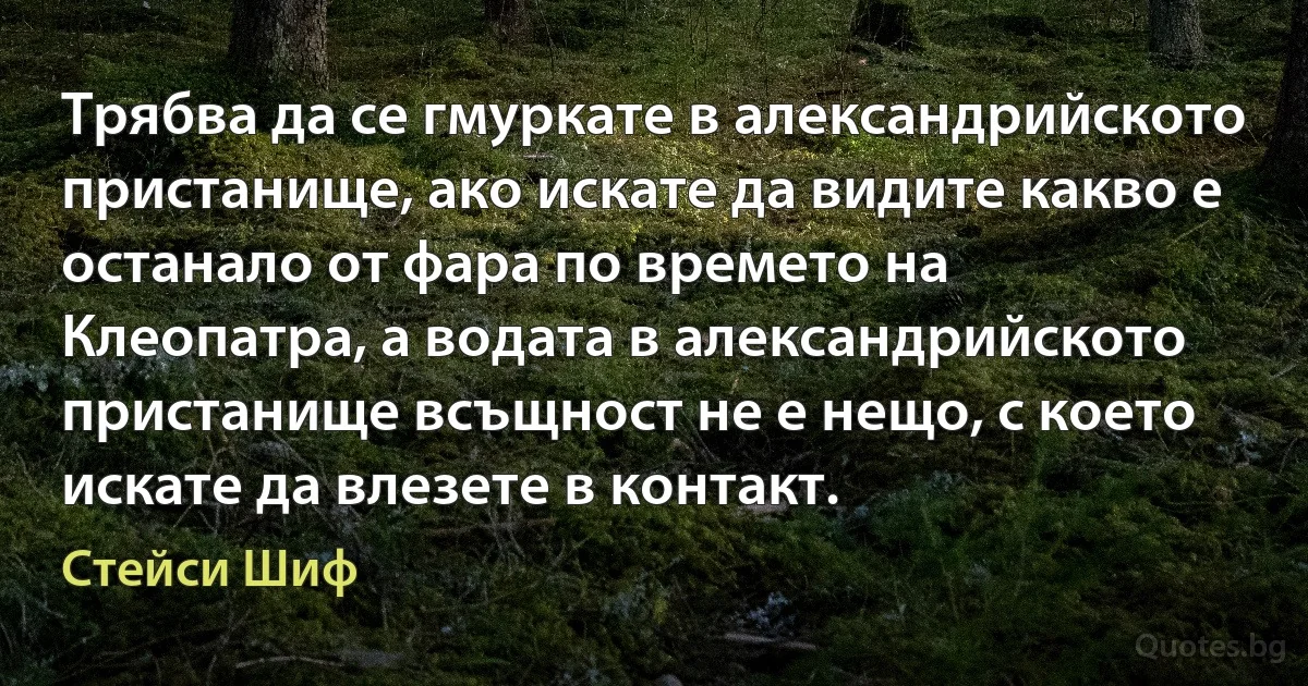 Трябва да се гмуркате в александрийското пристанище, ако искате да видите какво е останало от фара по времето на Клеопатра, а водата в александрийското пристанище всъщност не е нещо, с което искате да влезете в контакт. (Стейси Шиф)