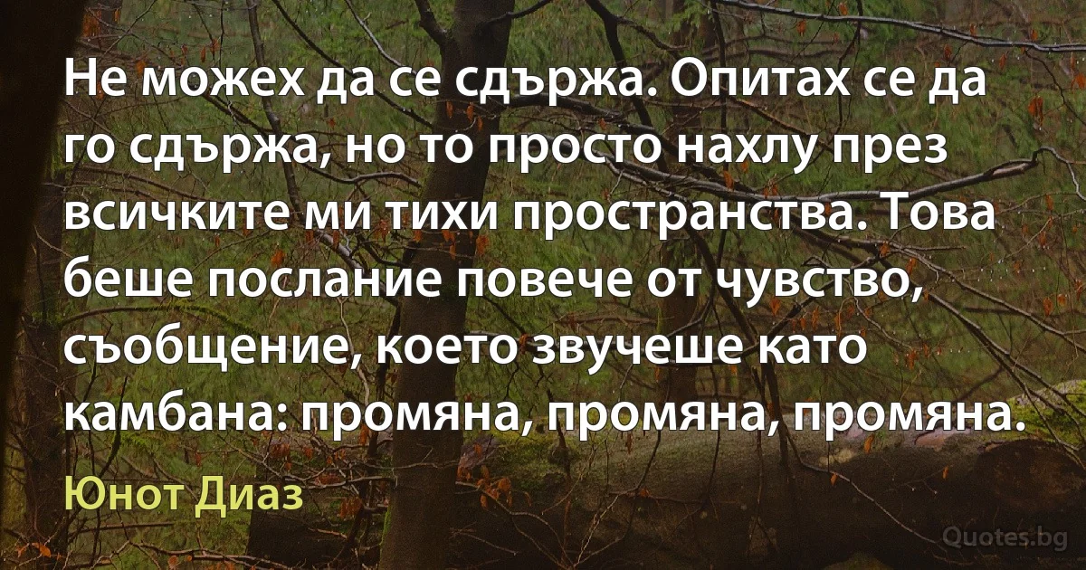 Не можех да се сдържа. Опитах се да го сдържа, но то просто нахлу през всичките ми тихи пространства. Това беше послание повече от чувство, съобщение, което звучеше като камбана: промяна, промяна, промяна. (Юнот Диаз)