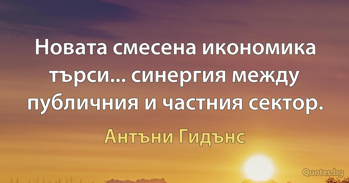 Новата смесена икономика търси... синергия между публичния и частния сектор. (Антъни Гидънс)