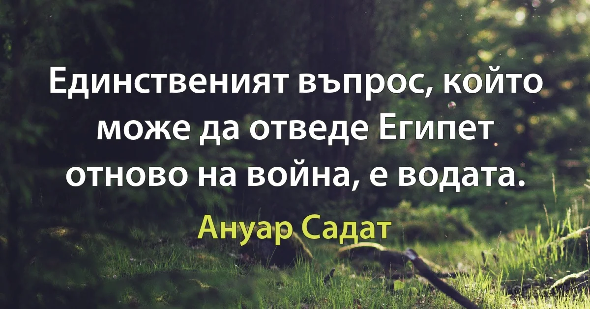 Единственият въпрос, който може да отведе Египет отново на война, е водата. (Ануар Садат)