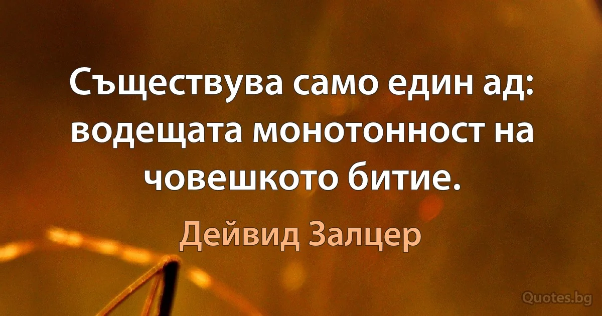 Съществува само един ад: водещата монотонност на човешкото битие. (Дейвид Залцер)