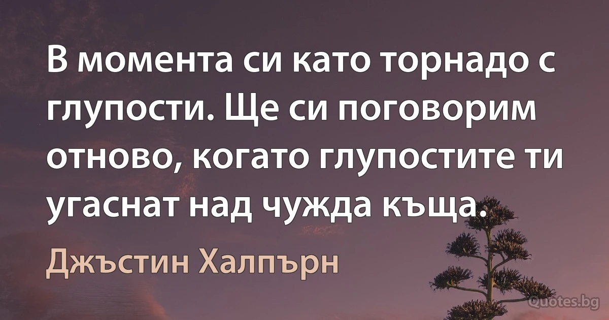 В момента си като торнадо с глупости. Ще си поговорим отново, когато глупостите ти угаснат над чужда къща. (Джъстин Халпърн)