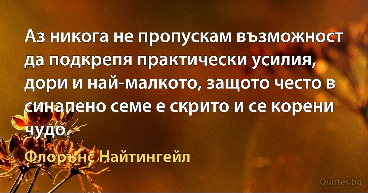 Аз никога не пропускам възможност да подкрепя практически усилия, дори и най-малкото, защото често в синапено семе е скрито и се корени чудо. (Флорънс Найтингейл)