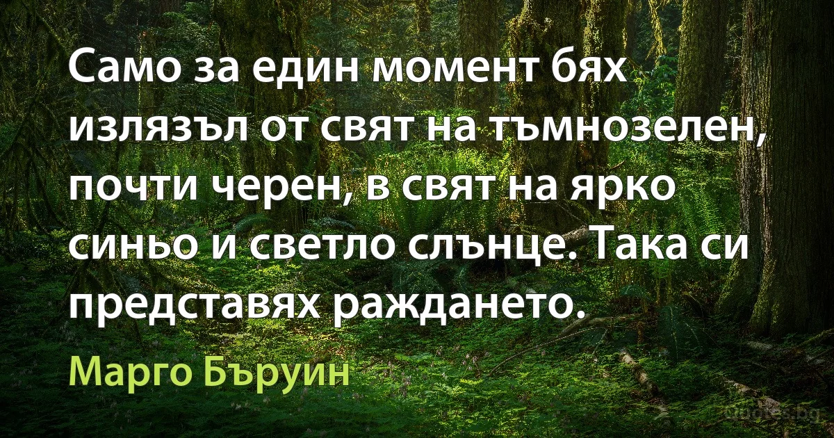 Само за един момент бях излязъл от свят на тъмнозелен, почти черен, в свят на ярко синьо и светло слънце. Така си представях раждането. (Марго Бъруин)