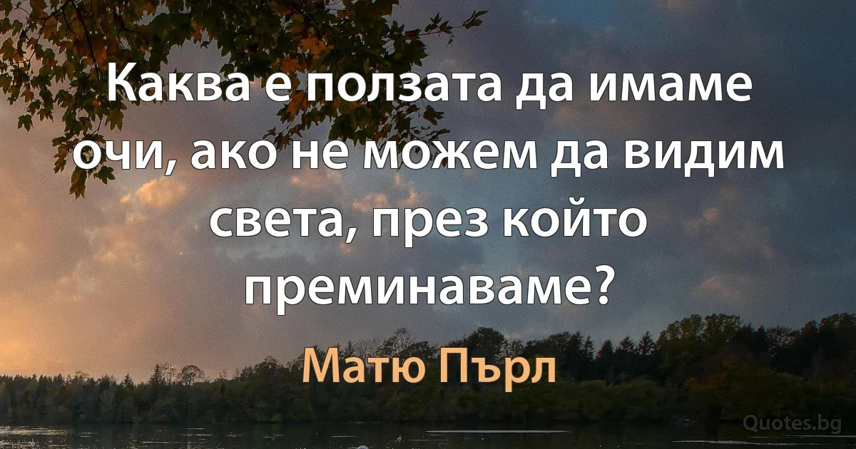 Каква е ползата да имаме очи, ако не можем да видим света, през който преминаваме? (Матю Пърл)