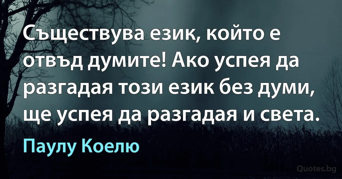 Съществува език, който е отвъд думите! Ако успея да разгадая този език без думи, ще успея да разгадая и света. (Паулу Коелю)