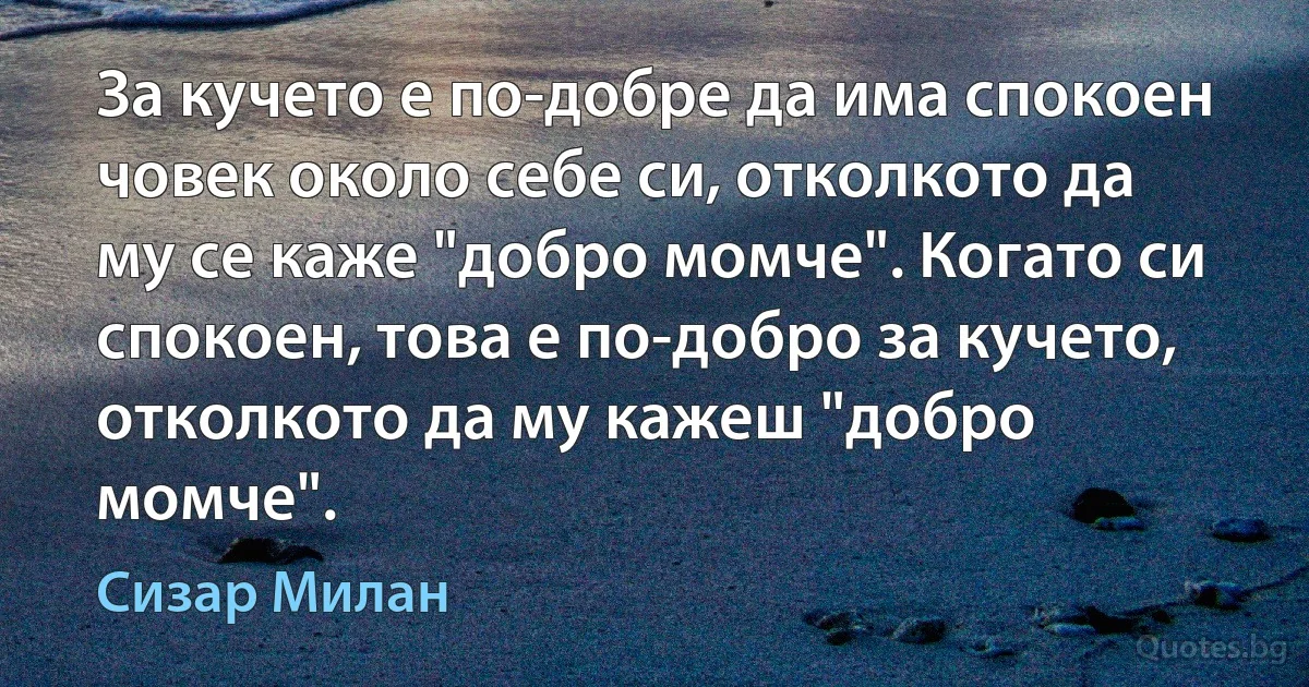 За кучето е по-добре да има спокоен човек около себе си, отколкото да му се каже "добро момче". Когато си спокоен, това е по-добро за кучето, отколкото да му кажеш "добро момче". (Сизар Милан)