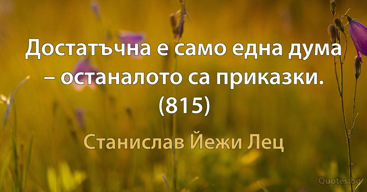 Достатъчна е само една дума – останалото са приказки. (815) (Станислав Йежи Лец)