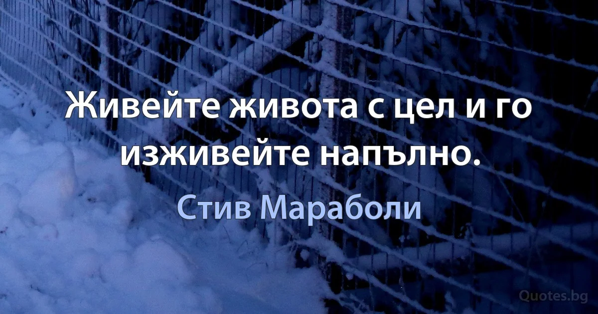 Живейте живота с цел и го изживейте напълно. (Стив Мараболи)