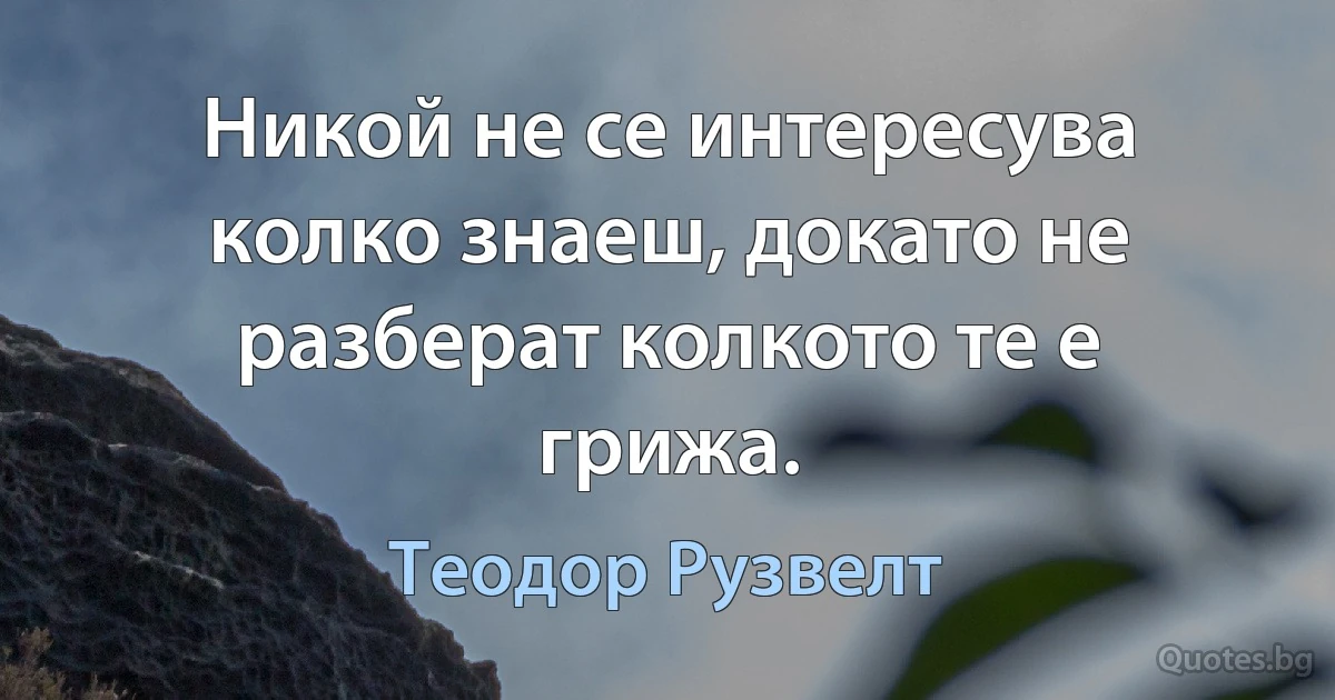 Никой не се интересува колко знаеш, докато не разберат колкото те е грижа. (Теодор Рузвелт)