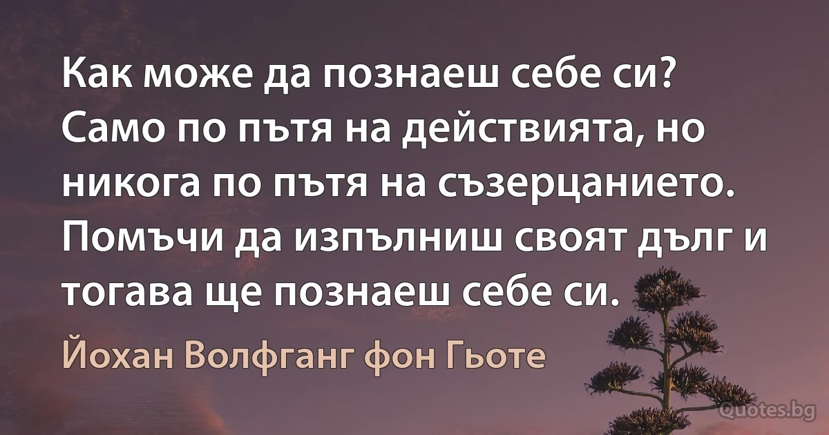 Как може да познаеш себе си? Само по пътя на действията, но никога по пътя на съзерцанието. Помъчи да изпълниш своят дълг и тогава ще познаеш себе си. (Йохан Волфганг фон Гьоте)