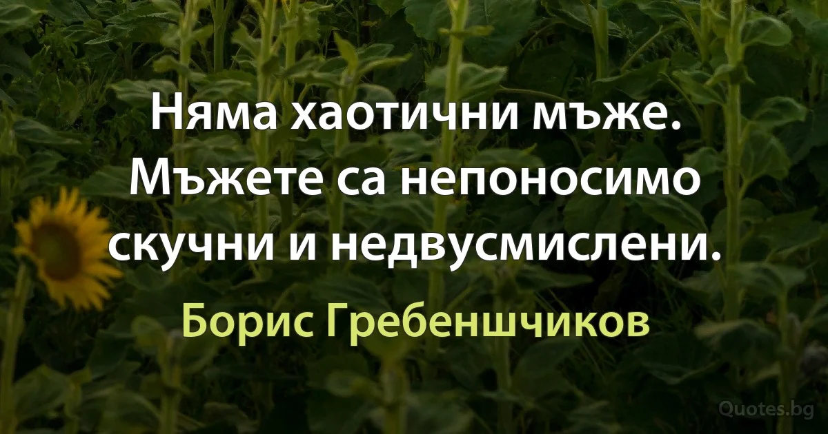 Няма хаотични мъже. Мъжете са непоносимо скучни и недвусмислени. (Борис Гребеншчиков)