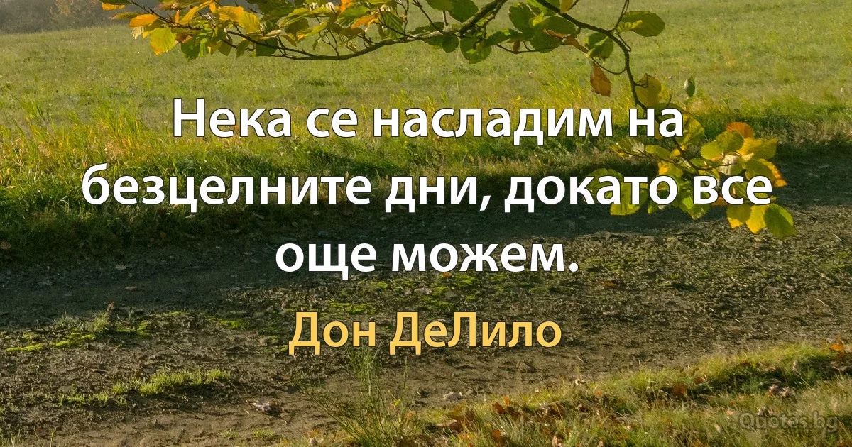 Нека се насладим на безцелните дни, докато все още можем. (Дон ДеЛило)