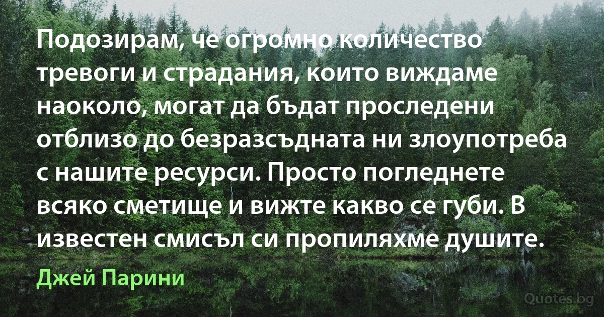 Подозирам, че огромно количество тревоги и страдания, които виждаме наоколо, могат да бъдат проследени отблизо до безразсъдната ни злоупотреба с нашите ресурси. Просто погледнете всяко сметище и вижте какво се губи. В известен смисъл си пропиляхме душите. (Джей Парини)