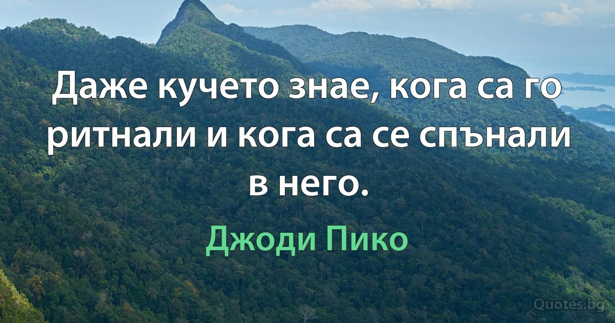 Даже кучето знае, кога са го ритнали и кога са се спънали в него. (Джоди Пико)