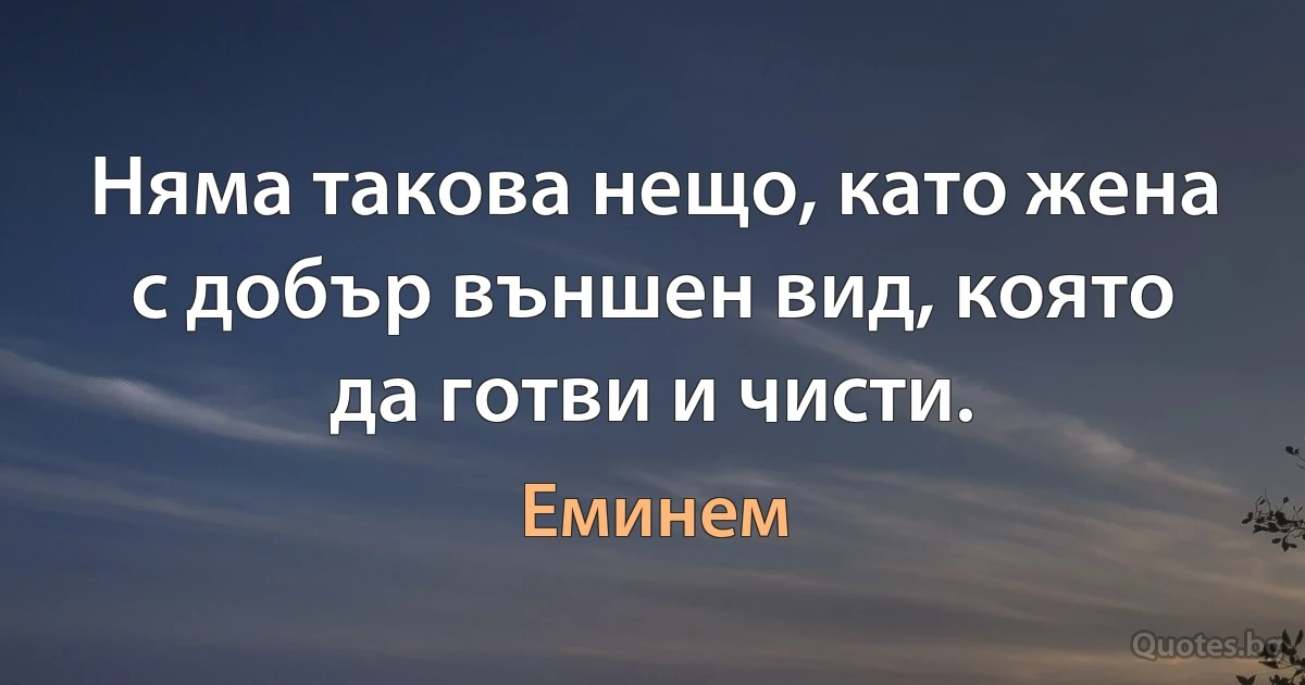 Няма такова нещо, като жена с добър външен вид, която да готви и чисти. (Еминем)