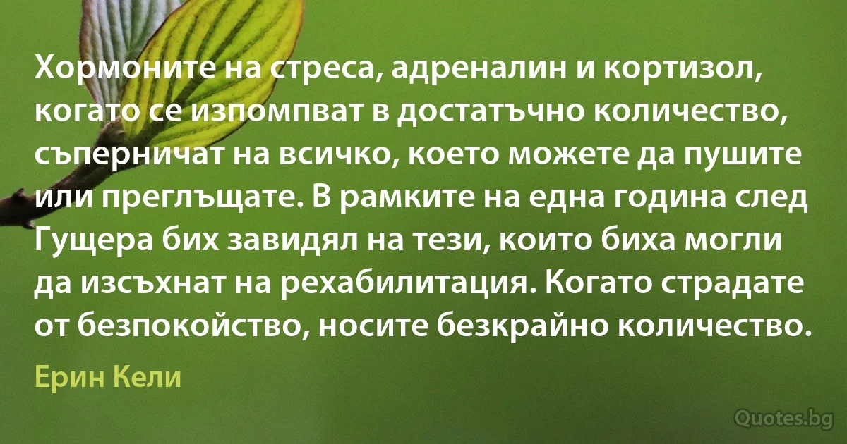 Хормоните на стреса, адреналин и кортизол, когато се изпомпват в достатъчно количество, съперничат на всичко, което можете да пушите или преглъщате. В рамките на една година след Гущера бих завидял на тези, които биха могли да изсъхнат на рехабилитация. Когато страдате от безпокойство, носите безкрайно количество. (Ерин Кели)