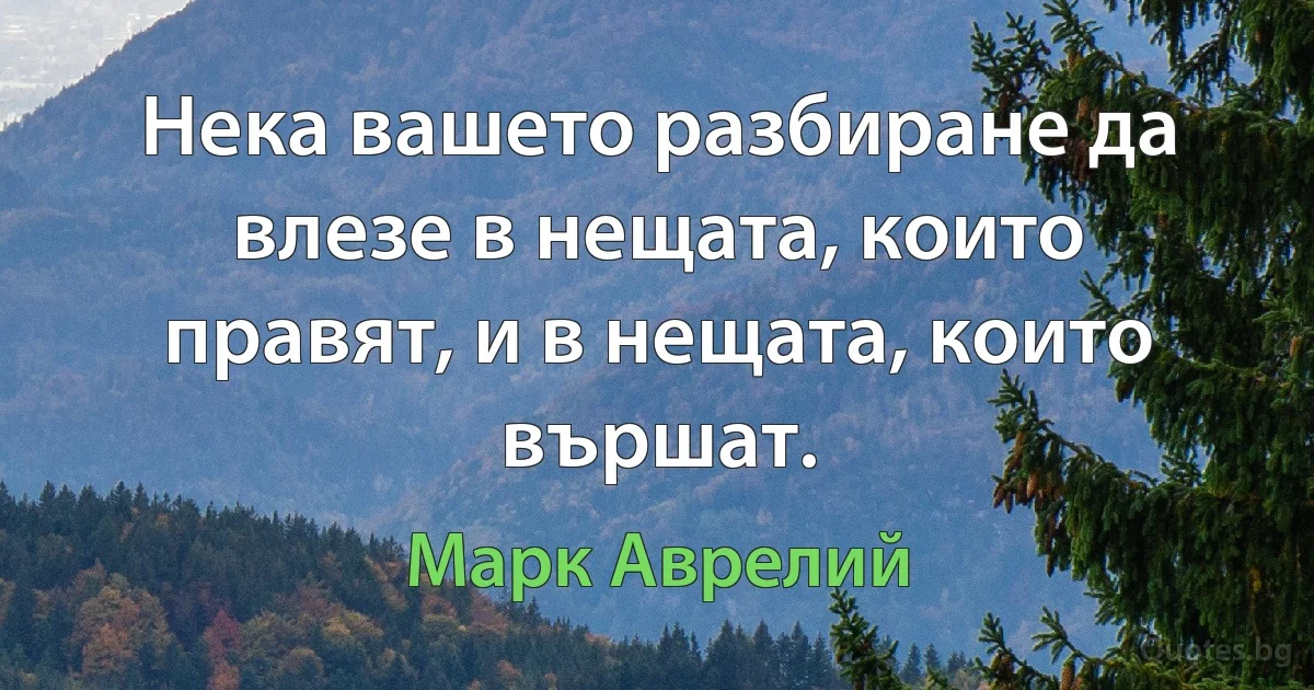 Нека вашето разбиране да влезе в нещата, които правят, и в нещата, които вършат. (Марк Аврелий)