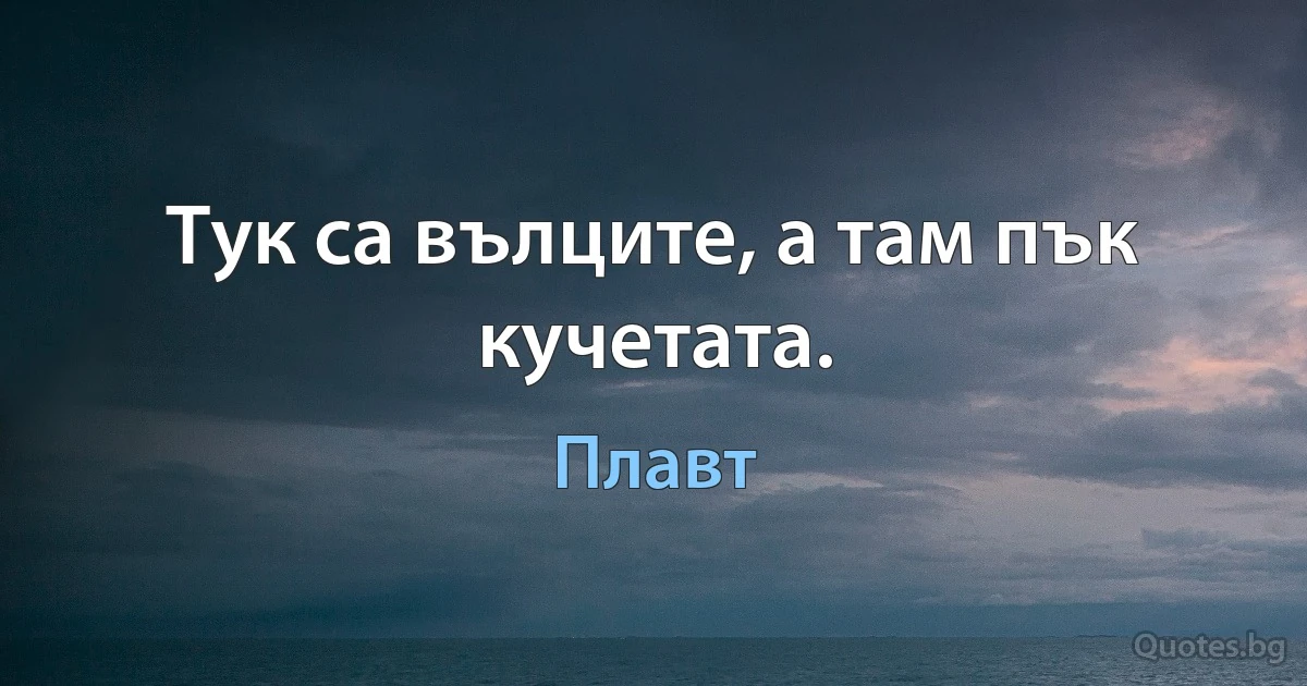 Тук са вълците, а там пък кучетата. (Плавт)