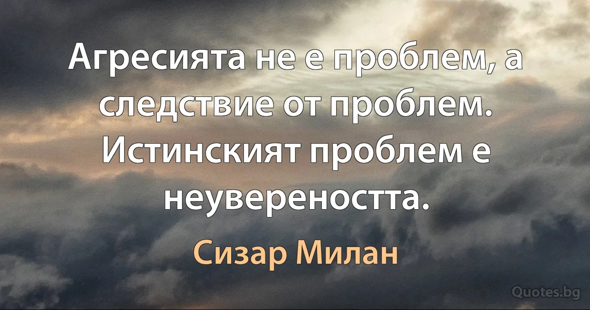 Агресията не е проблем, а следствие от проблем. Истинският проблем е неувереността. (Сизар Милан)