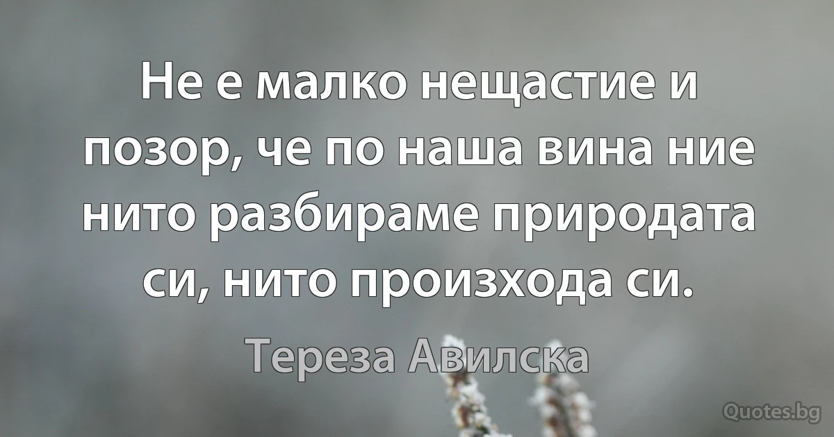 Не е малко нещастие и позор, че по наша вина ние нито разбираме природата си, нито произхода си. (Тереза Авилска)