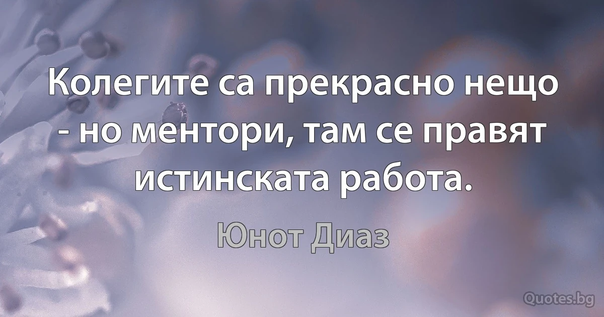 Колегите са прекрасно нещо - но ментори, там се правят истинската работа. (Юнот Диаз)